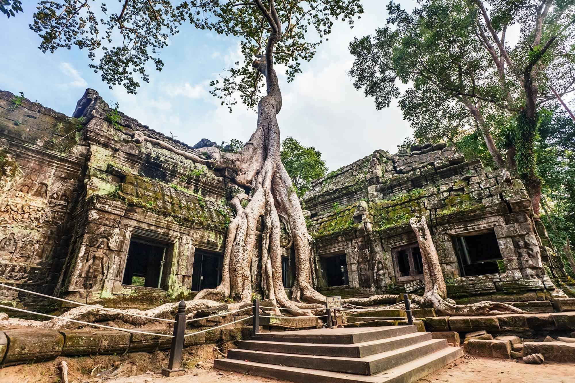 Ta Prohm Temple Siem Reap