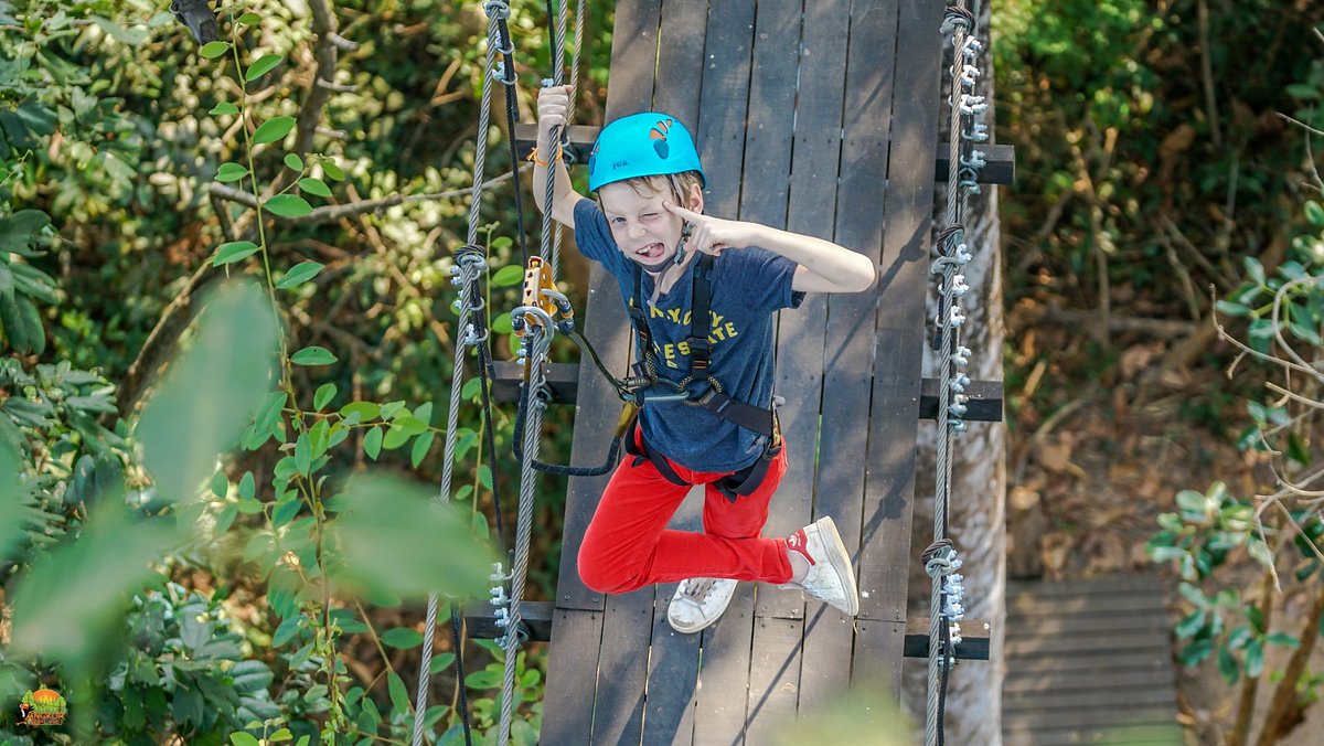 things to do in cambodia with kids zipline