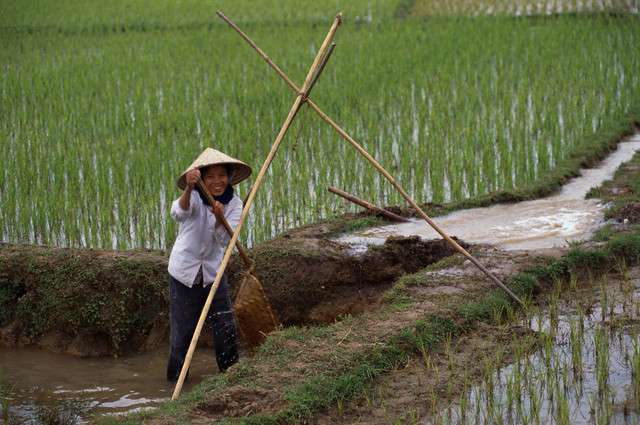 A Day on the Mekong Delta, Vietnam