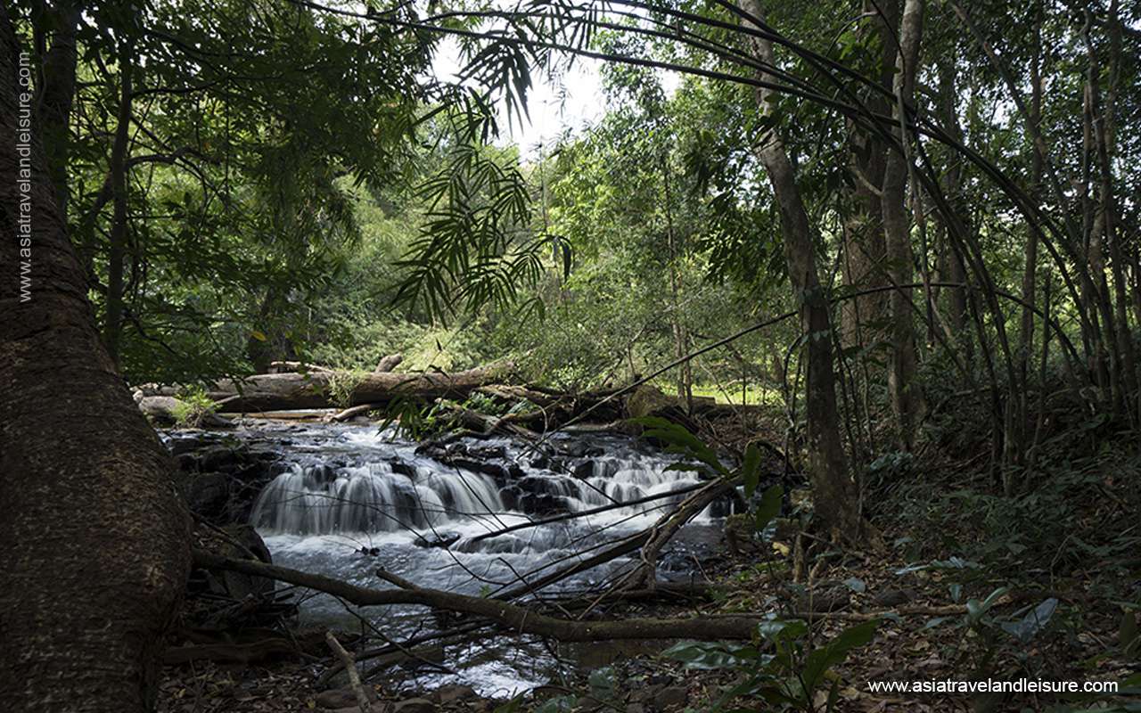 Trekking in Mondulkiri jungle 