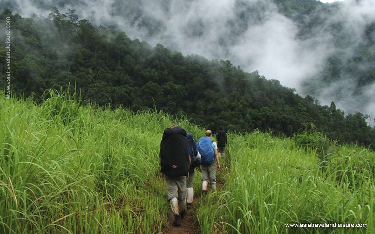 Trekking Ratanakiri Jungle 