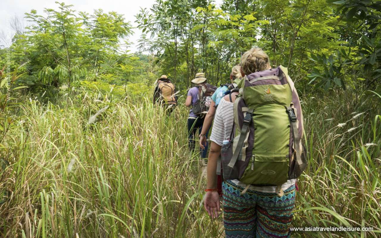 Trekking in Chi Phat Cardamom mountain 