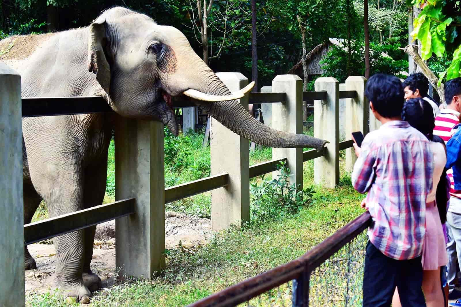 Phnom Tamao Zoological Park