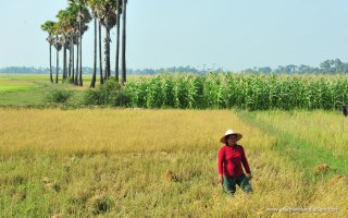 Spirit of Angkor Wat Tour - 3 Days