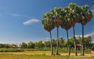 Kratie-Cambodia