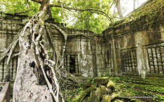 Beng Mealea Temple