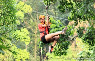 Flight of the Gibbon in Siem Reap