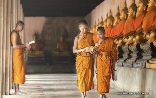 Buddhist moks in Cambodian temple