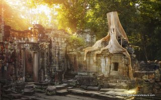 On the ruins of Preah Khan temple complex in Cambodia