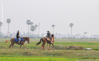 Riding horse in Siem Reap