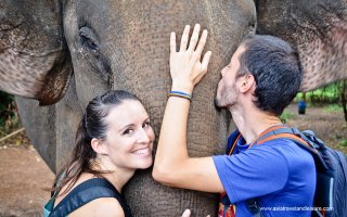 Playing with an elephant in Mondulkiri