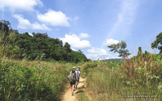 Trekking in Chi Phat village (Cardamom mountain)