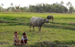 Essential Cambodia Tour Package - 5 Days