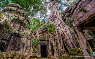 Angkor Wat: Information & Tours