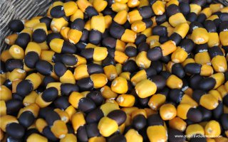 Explore Preah Vihear - 2 Days