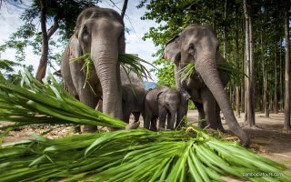 Thailand, Laos and Cambodia Discover