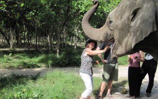 Phnom Penh - Tonle Bati - Phnom Tamao Zoo - 1 day