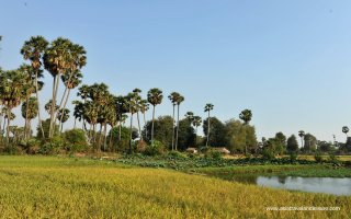 A 7-Day Tour of Siem Reap and Battambang