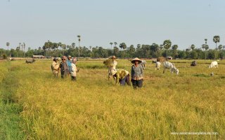 A 7-Day Tour of Siem Reap and Battambang
